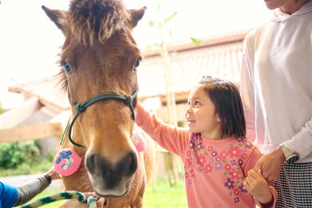 おとなしいヨナグニウマ、お子様も安心