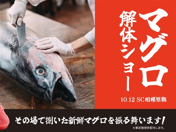 マグロ解体ショー＆無料振る舞い