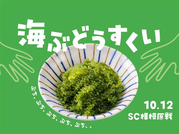 新感覚！？海ぶどうすくい！