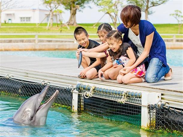 もとぶ元気村