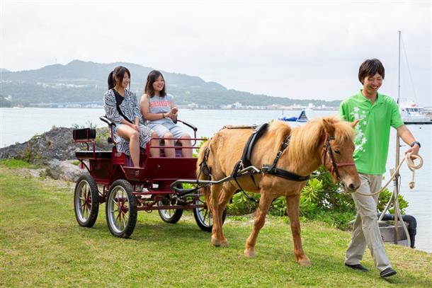 馬車に乗ってビーチをお散歩