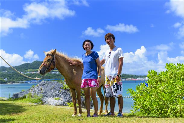 かわいい馬とふれあおう