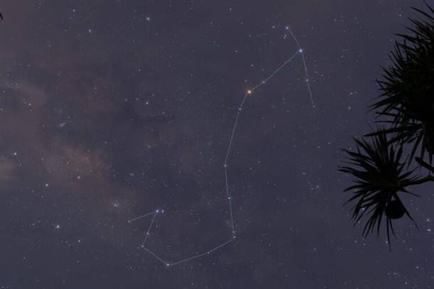 広がる星空に描かれる星座