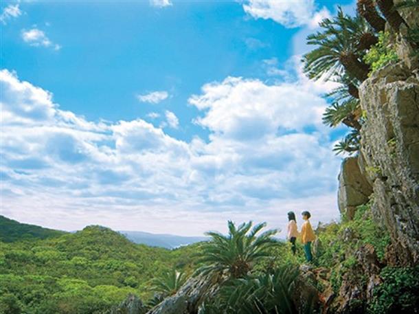 アスムイハイクス（旧 大石林山）