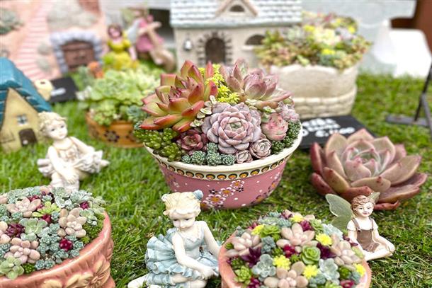 寄せ植えの内容は毎月変わります