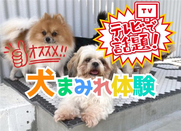 話題沸騰中の体験施設！