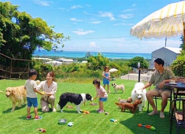 海の見える無料ドッグラン！