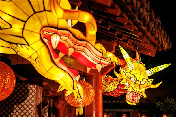 青森ねぶた龍