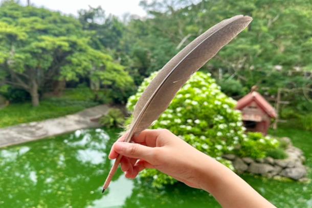 ワークショップ体験♪
