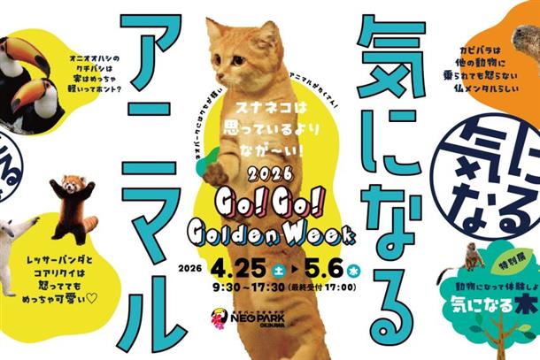 ジャングルエリア