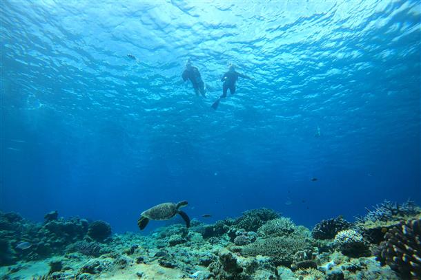 ケラマブルーを体験しよう♪