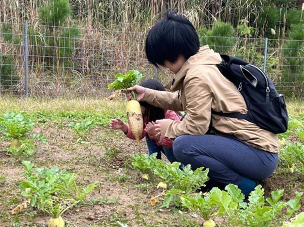 親子で大根収穫体験♪