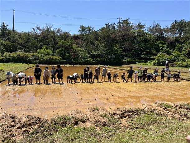 田植え体験の様子！