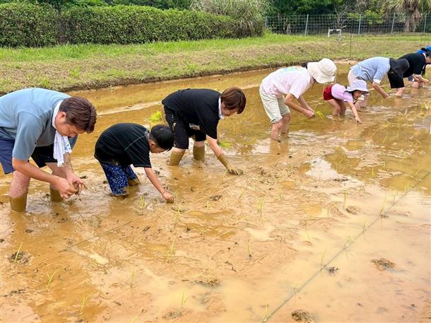 最小7名、最大40名で田植えできます！