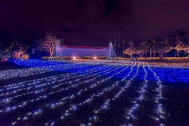 ☆東南植物楽園　ひかりの散歩道☆