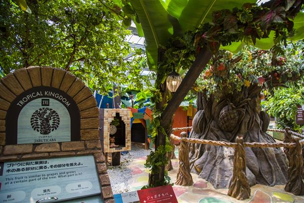 魔法の地図を手に隠されたヒントを探そう♪