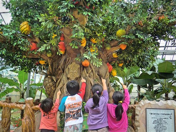 トロピカル王国の秘密を解き明かそう！