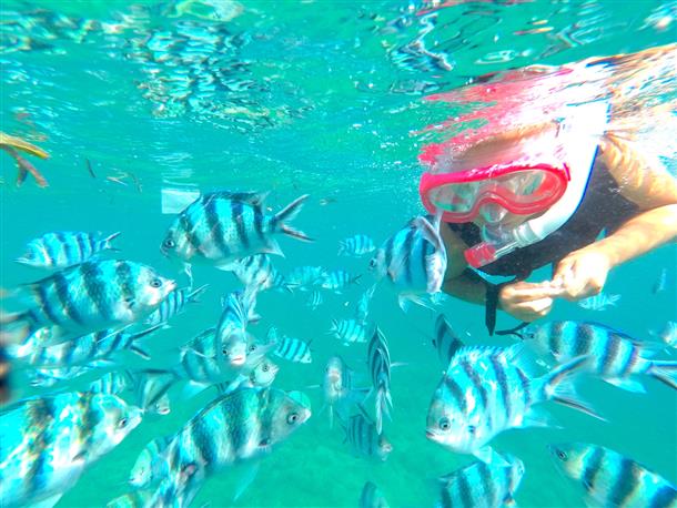 もちろん、エサあげ体験も無料です♪