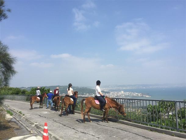 高台から見る中城湾は絶景！