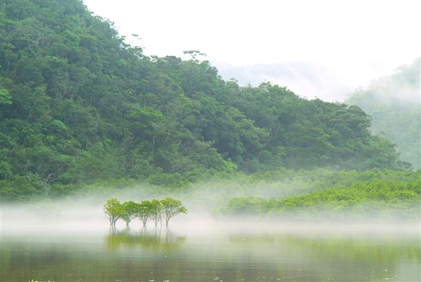 幻想的な風景にも出会えることも！？
