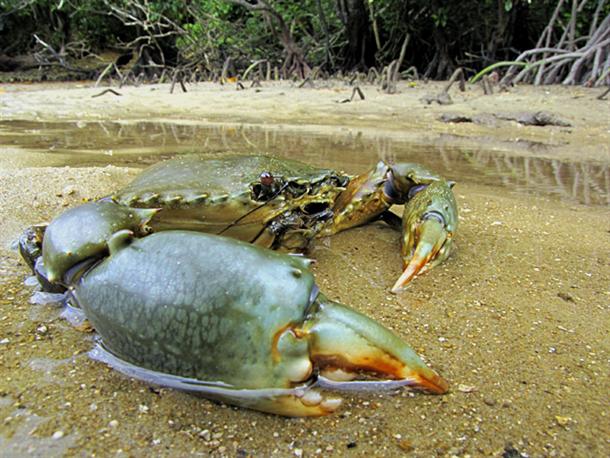 様々な生き物にも出会える♪