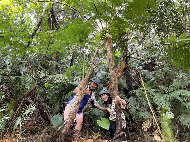 大自然のパワーを体感！