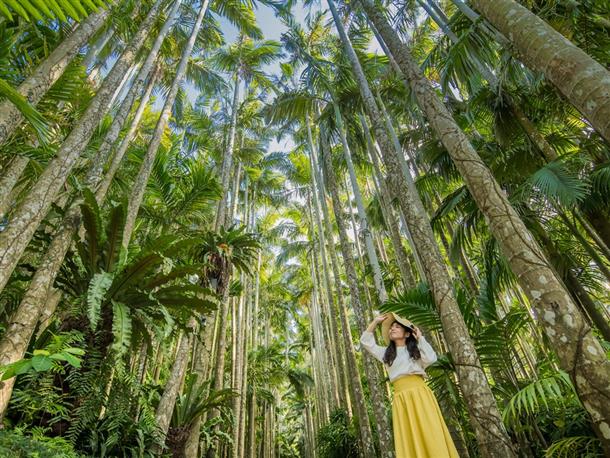 東南植物楽園