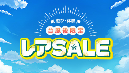 台風後限定レアSALE