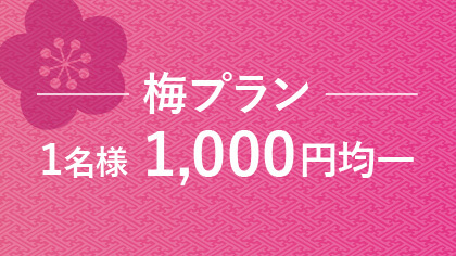【2025☆福袋タイムセール】梅プラン