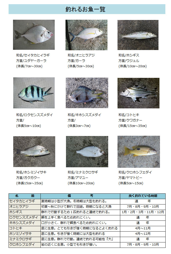 釣れるお魚一覧