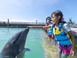 動物ふれあい