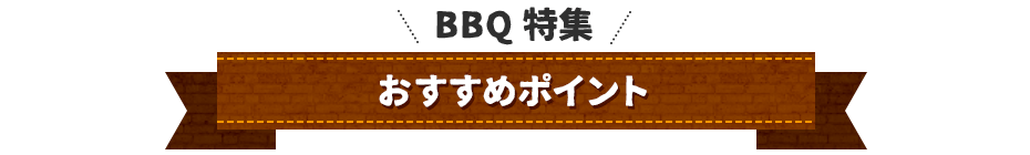 船で行く離党上陸ツアーのおすすめポイント