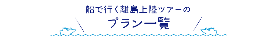 船で行く離党上陸ツアーのプラン一覧