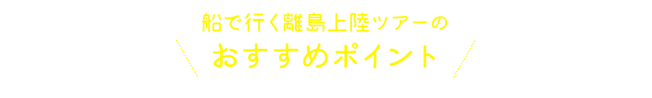 船で行く離党上陸ツアーのおすすめポイント