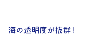 海の透明度が抜群! 