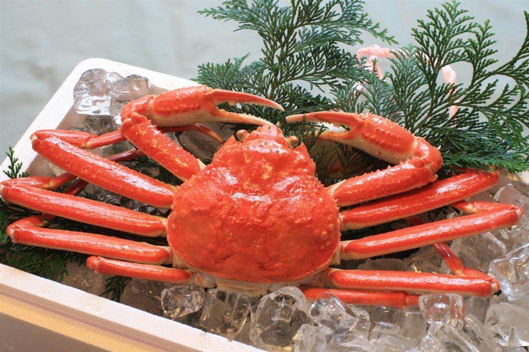 ワールドワイドブッフェ