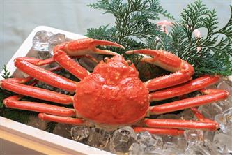 ワールドワイドブッフェ