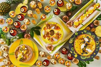 2026年4、5月パッション