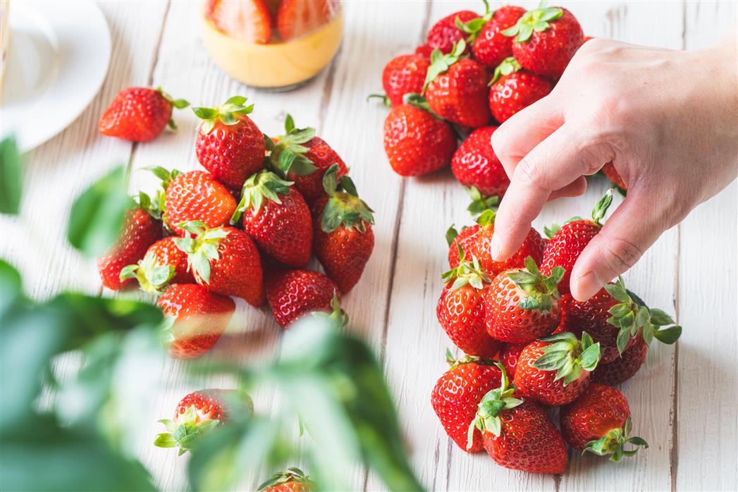 【極 × テレビCM放送記念】最大1560円OFF＼昨年に引き続き!!いちごの食べ比べビュッフェ開催°˖✧／シェフと一緒に作るデコレーションクッキーのワークショップも随時開催♬ <<ソフトドリンク飲み放題！>>※当日10時まで予約OK