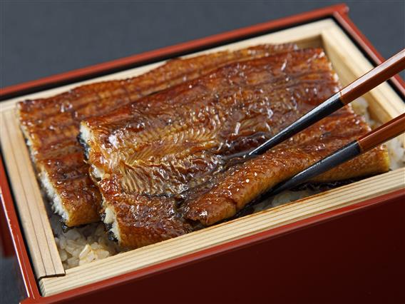 日本料理 富士 のイベント一覧 ホテルレストラン ちゅらとく