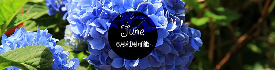 77時間タイムセールホテルレストラン｜6月利用可能