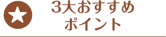 3大おすすめポイント