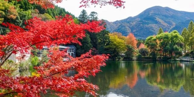 紅葉も見頃☆別府温泉と黒川温泉に泊まる大分・熊本3日間で秋を満喫しよう