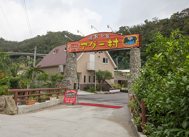 豚我小谷 アグー村：画像