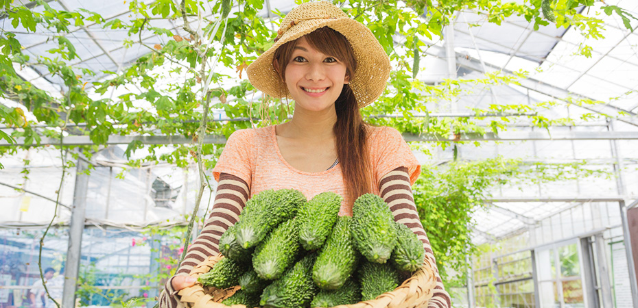 県産品:イメージ