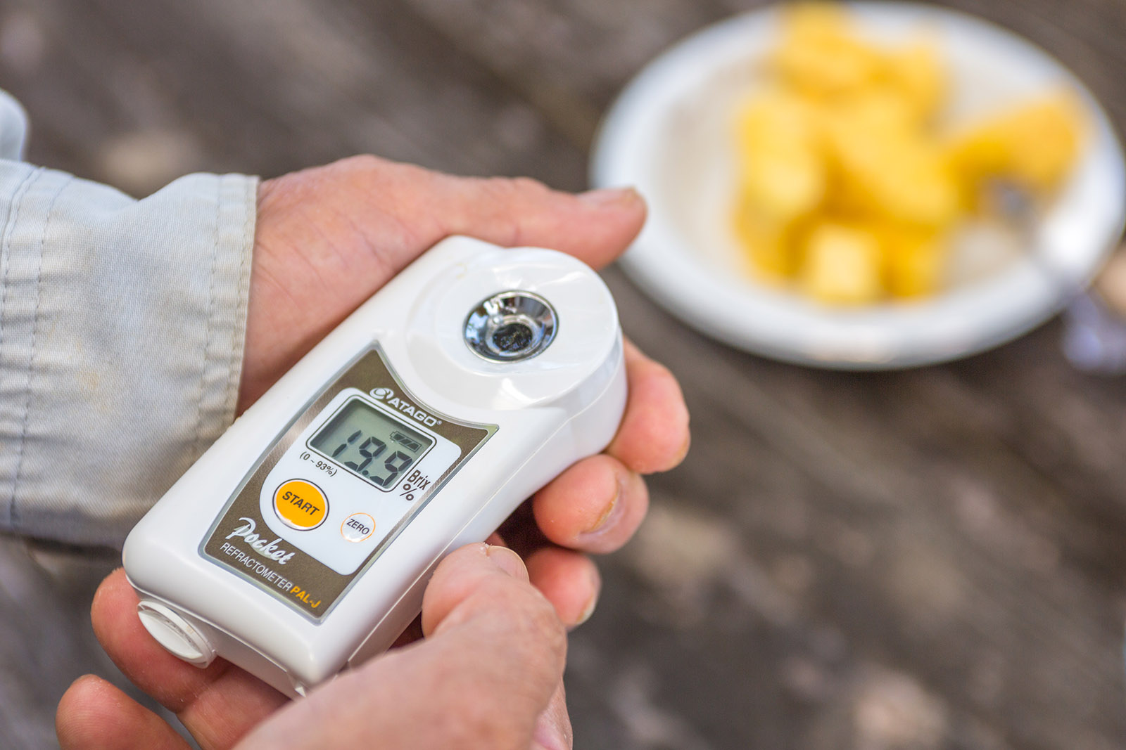 生産量日本一のフルーツ沖縄のパイナップル 生産量日本一のフルーツ沖縄のパイナップル