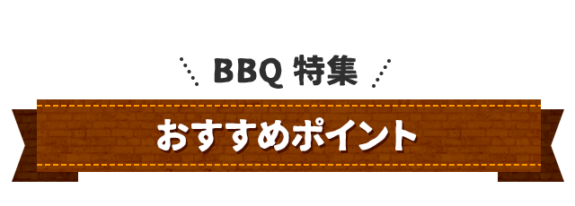 船で行く離党上陸ツアーのおすすめポイント