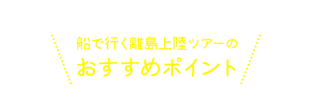 船で行く離党上陸ツアーのおすすめポイント