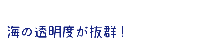 海の透明度が抜群! 