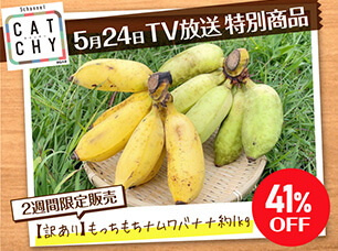 【TV放送特別商品】甘くてモッチモチ☆訳ありナムワバナナ約1kgがぽっきり価格で登場！